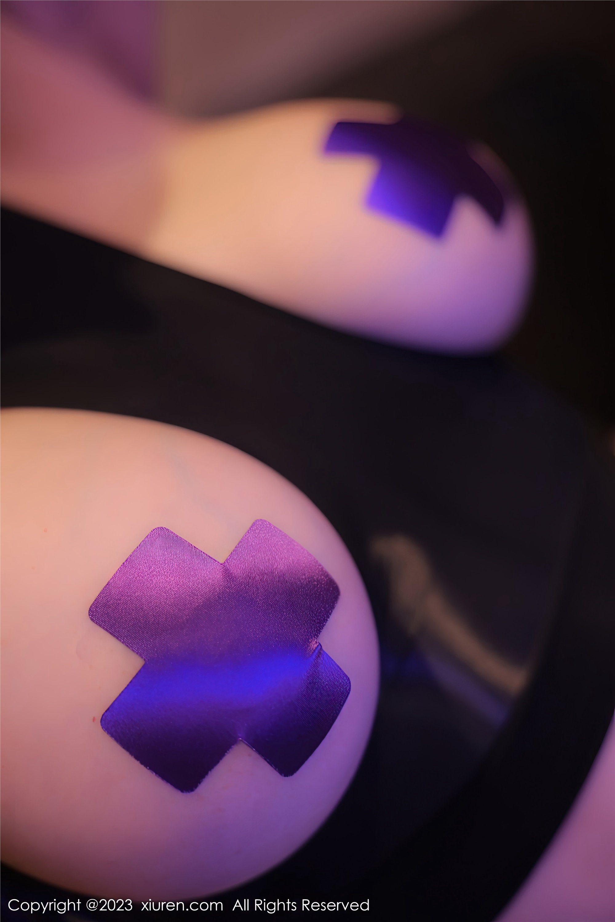 Xiuren秀人网 2023.01.17 NO.6143 田冰冰